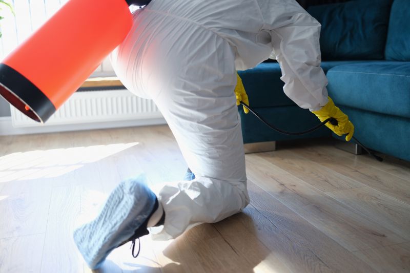 Flea Extermination