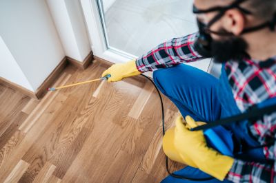 Pest Control Service