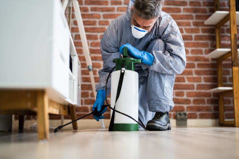 Stinging Insect Extermination