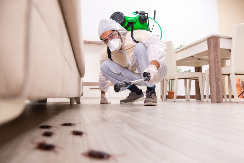 Stinging Insect Extermination