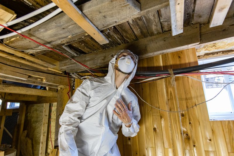 Cost of Mold Air Testing in American Fork, UT